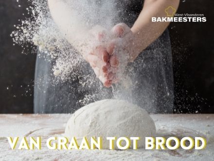 Ambachtelijk brood, van graan tot brood